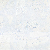 White Cork Fabric In Block Style With Beige Backing 0.71Mm Thickness Cof - 533 - B Cork Fabric